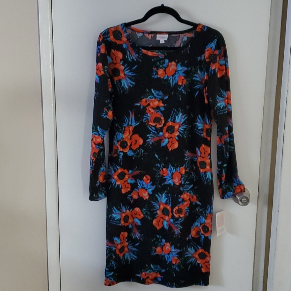 Beautiful lularoe long sleeve dress debbie